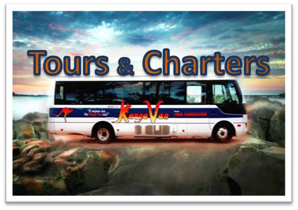 Tours and charters
